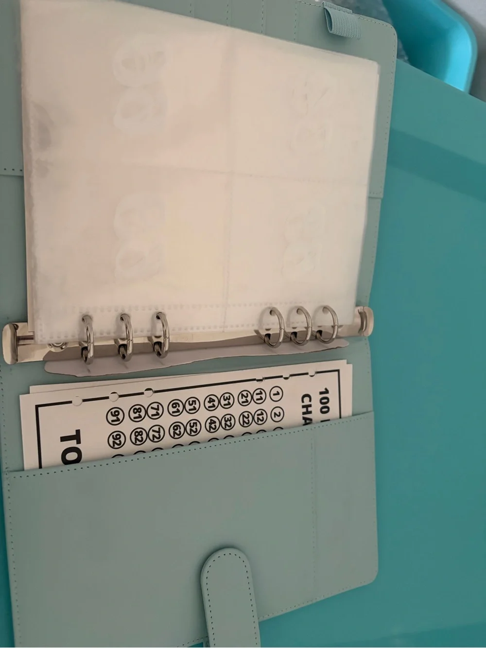 100 Envelope Savings Challenge Binder for Saving $$$